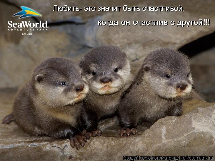 Любить- это значит быть счастливой, когда он счастлив с другой!!!... Котоматрица: Любить- это значит быть счастливой, когда он счастлив с другой!!!
