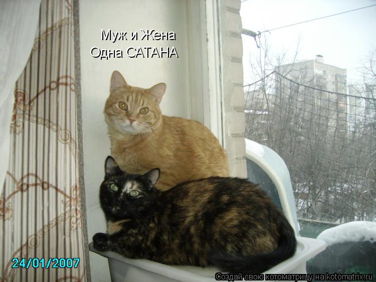 Муж и Жена Одна САТАНА... Котоматрица: Муж и Жена Одна САТАНА