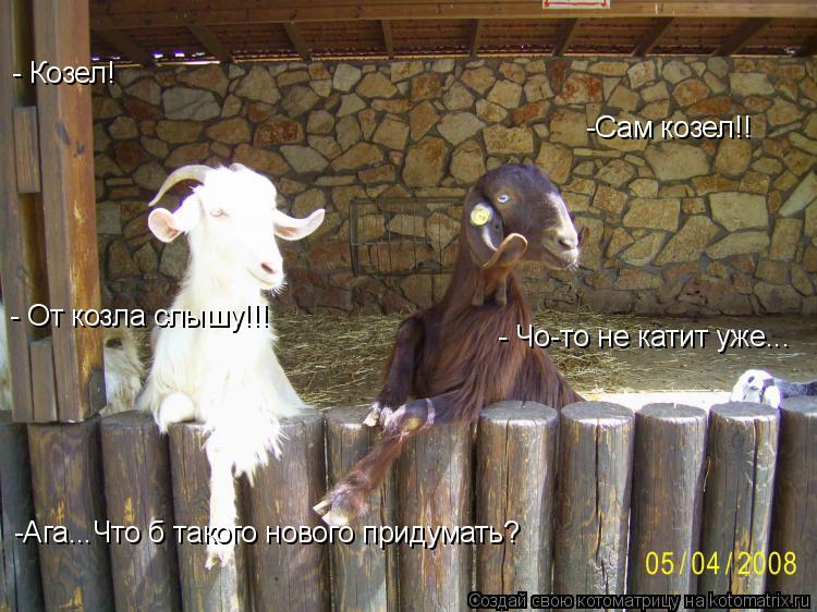 - Козел! -Сам козел!! - От козла слышу!!! - Чо-то не катит уже... -Ага...Что б такого нового придумат... Котоматрица: - Козел! -Сам козел!! - От козла слышу!!! - Чо-то не катит уже... -Ага...Что б такого нового придумать?