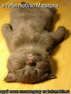 я тебя люблю Маришка... Котоматрица: я тебя люблю Маришка