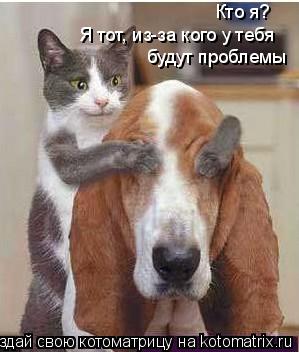 Кто я? Я тот, из-за кого у тебя будут проблемы... Котоматрица: Кто я? Я тот, из-за кого у тебя будут проблемы