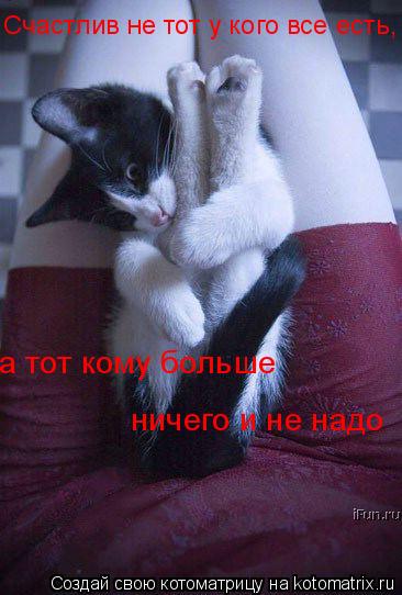 Счастлив не тот у кого все есть, а тот кому больше ничего и не надо... Котоматрица: Счастлив не тот у кого все есть, а тот кому больше ничего и не надо