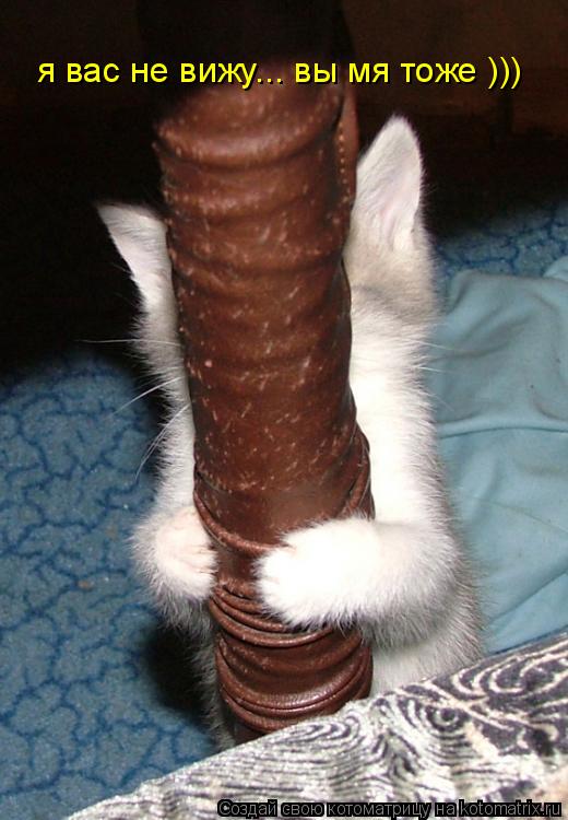 я вас не вижу... вы мя тоже )))... Котоматрица: я вас не вижу... вы мя тоже )))