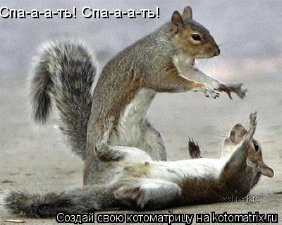 Спа-а-а-ть! Спа-а-а-ть!... Котоматрица: Спа-а-а-ть! Спа-а-а-ть!