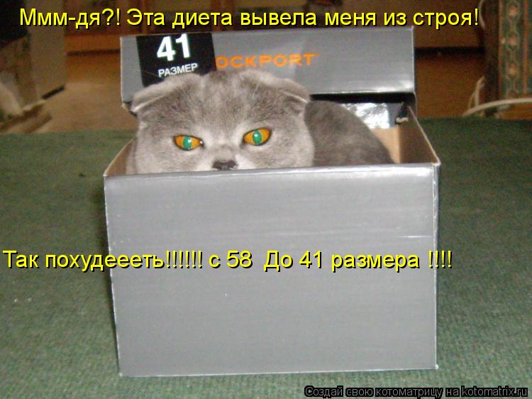 Ммм-дя?! Эта диета вывела меня из строя! Так похудеееть!!!!!! с 58 До 41 размера !!!!... Котоматрица: Ммм-дя?! Эта диета вывела меня из строя! Так похудеееть!!!!!! с 58 До 41 размера !!!!