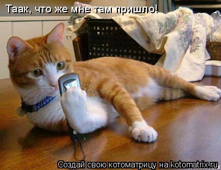 Таак, что же мне там пришло!... Котоматрица: Таак, что же мне там пришло!