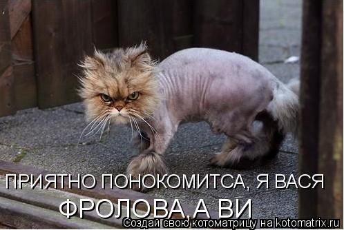 ПРИЯТНО ПОНОКОМИТСА, Я ВАСЯ ФРОЛОВА,А ВИ... Котоматрица: ПРИЯТНО ПОНОКОМИТСА, Я ВАСЯ ФРОЛОВА,А ВИ