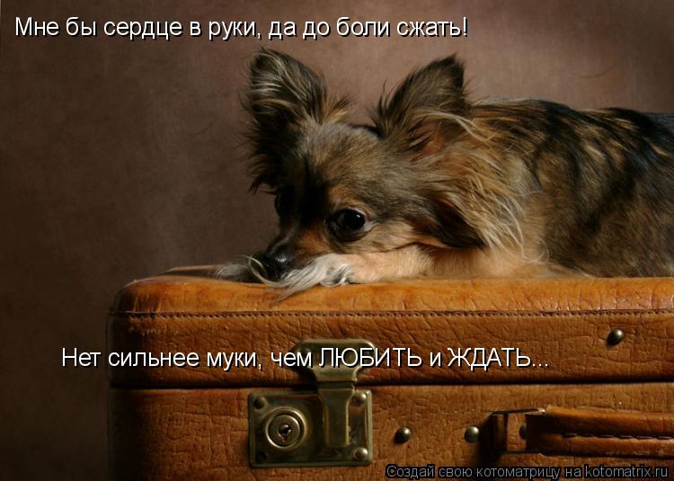 Мне бы сердце в руки, да до боли сжать! Нет сильнее муки, чем ЛЮБИТЬ и ЖДАТЬ...... Котоматрица: Мне бы сердце в руки, да до боли сжать! Нет сильнее муки, чем ЛЮБИТЬ и ЖДАТЬ...
