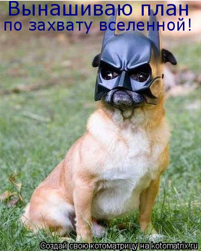 Вынашиваю план по захвату вселенной!... Котоматрица: Вынашиваю план по захвату вселенной!