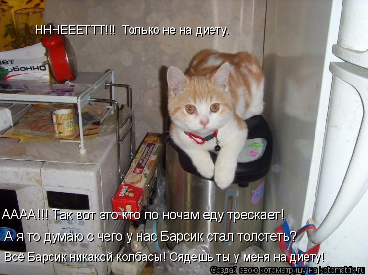 АААА!!! Так вот это кто по ночам еду трескает! А я то думаю с чего у нас Барсик стал толстеть? Всё Ба... Котоматрица: АААА!!! Так вот это кто по ночам еду трескает! А я то думаю с чего у нас Барсик стал толстеть? Всё Барсик никакой колбасы! Сядешь ты у меня на ди