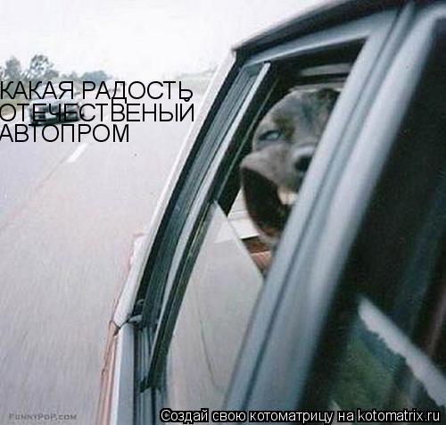 КАКАЯ РАДОСТЬ ОТЕЧЕСТВЕНЫЙ АВТОПРОМ... Котоматрица: КАКАЯ РАДОСТЬ ОТЕЧЕСТВЕНЫЙ АВТОПРОМ