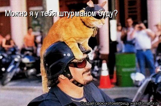 Можно я у тебя штурманом буду?... Котоматрица: Можно я у тебя штурманом буду?