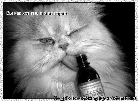 Вы как хотите, а я из горла!... Котоматрица: Вы как хотите, а я из горла!