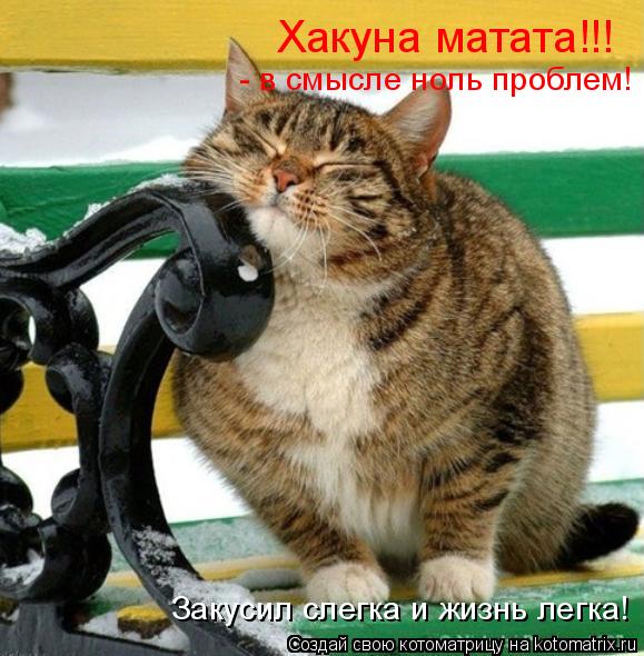 Хакуна матата!!! - в смысле ноль проблем! Закусил слегка и жизнь легка!... Котоматрица: Хакуна матата!!! - в смысле ноль проблем! Закусил слегка и жизнь легка!