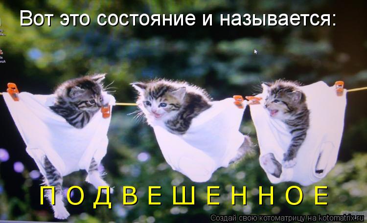 Вот это состояние и называется: П О Д В Е Ш Е Н Н О Е... Котоматрица: Вот это состояние и называется: П О Д В Е Ш Е Н Н О Е