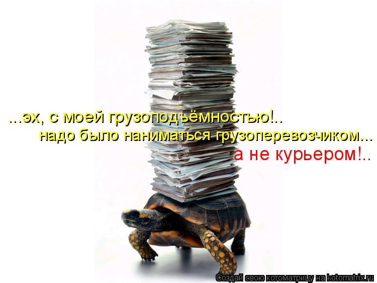 ...эх, с моей грузоподъёмностью!.. надо было наниматься грузоперевозчиком... а не курьером!..... Котоматрица: ...эх, с моей грузоподъёмностью!.. надо было наниматься грузоперевозчиком... а не курьером!..