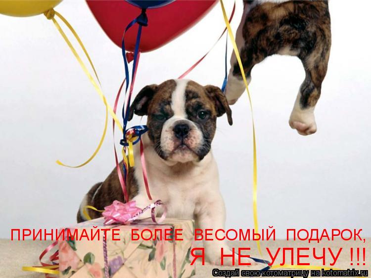 ПРИНИМАЙТЕ БОЛЕЕ ВЕСОМЫЙ ПОДАРОК, Я НЕ УЛЕЧУ !!!... Котоматрица: ПРИНИМАЙТЕ БОЛЕЕ ВЕСОМЫЙ ПОДАРОК, Я НЕ УЛЕЧУ !!!