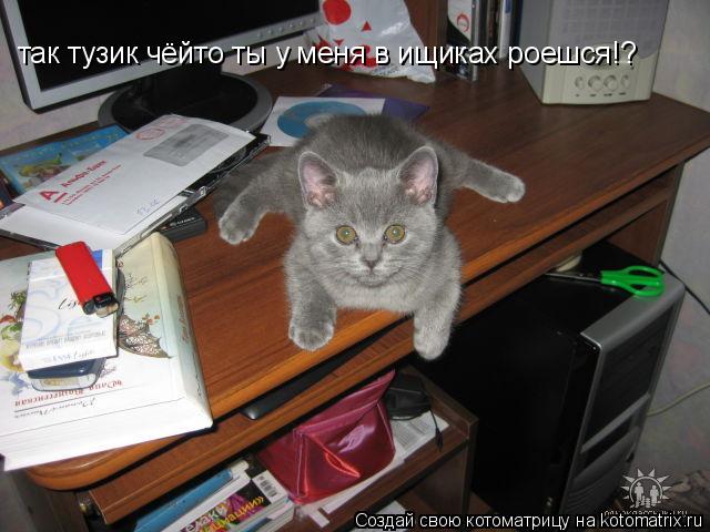 так тузик чёйто ты у меня в ищиках роешся!?... Котоматрица: так тузик чёйто ты у меня в ищиках роешся!?