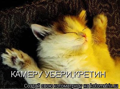 КАМЕРУ УБЕРИ,КРЕТИН... Котоматрица: КАМЕРУ УБЕРИ,КРЕТИН