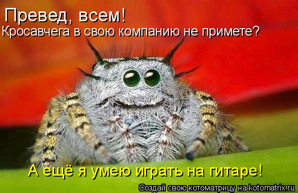 Превед, всем! Кросавчега в свою компанию не примете? А ещё я умею играть на гитаре!... Котоматрица: Превед, всем! Кросавчега в свою компанию не примете? А ещё я умею играть на гитаре!