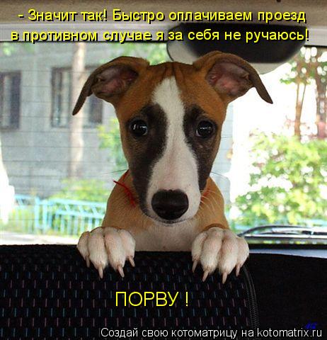 - Значит так! Быстро оплачиваем проезд в противном случае я за себя не ручаюсь! ПОРВУ !... Котоматрица: - Значит так! Быстро оплачиваем проезд в противном случае я за себя не ручаюсь! ПОРВУ !