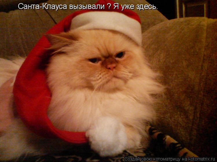 Санта-Клауса вызывали ? Я уже здесь.... Котоматрица: Санта-Клауса вызывали ? Я уже здесь.