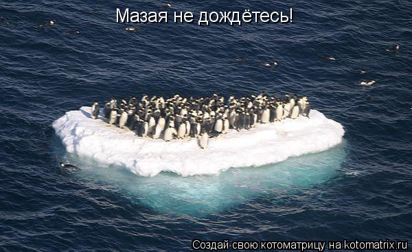 Мазая не дождётесь!... Котоматрица: Мазая не дождётесь!
