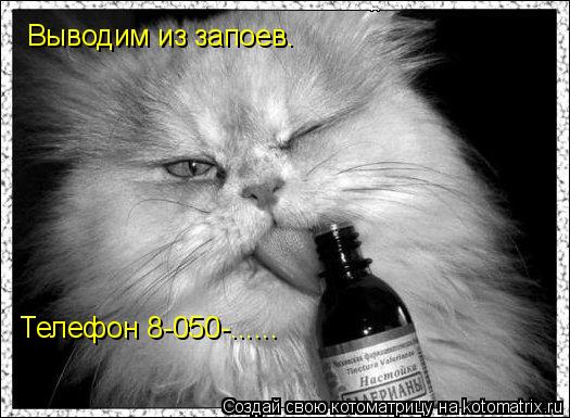 Выводим из запоев. Телефон 8-050-......... Котоматрица: Выводим из запоев. Телефон 8-050-......