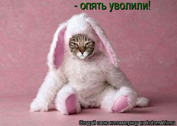 - опять уволили!... Котоматрица: - опять уволили!