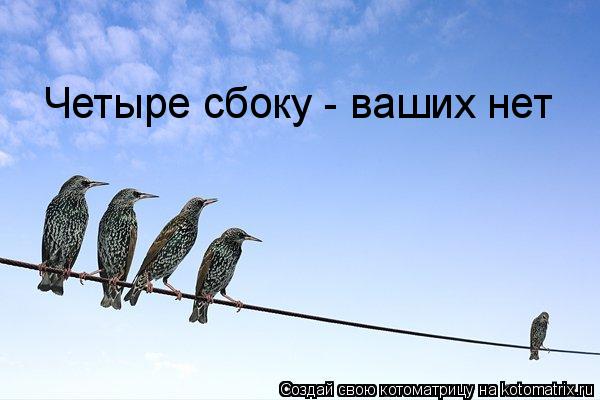 Четыре сбоку - ваших нет... Котоматрица: Четыре сбоку - ваших нет