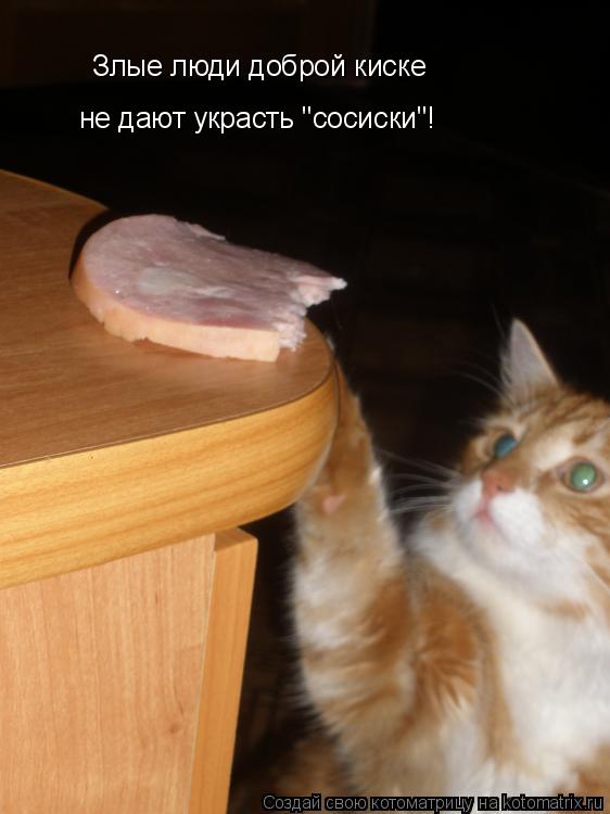 Злые люди доброй киске не дают украсть "сосиски"! Злые люди доброй киске не дают украсть "сосиски"!... Котоматрица: Злые люди доброй киске не дают украсть "сосиски"! Злые люди доброй киске не дают украсть "сосиски"!