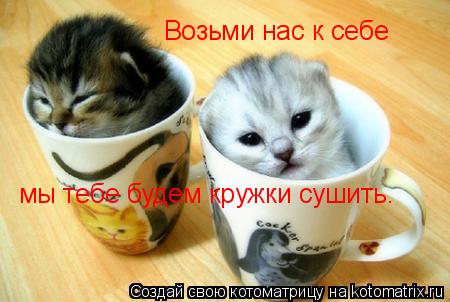 Возьми нас к себе мы тебе будем кружки сушить.... Котоматрица: Возьми нас к себе мы тебе будем кружки сушить.