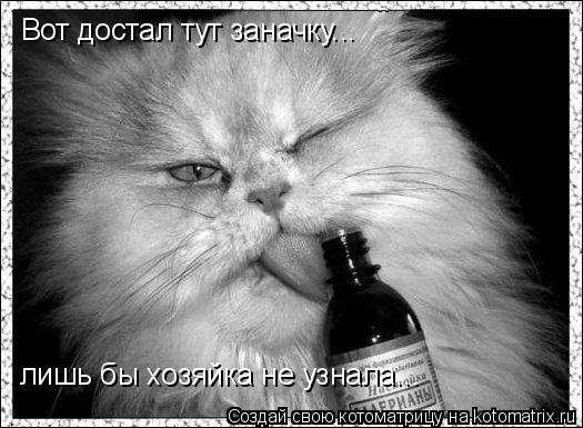 Вот достал тут заначку... лишь бы хозяйка не узнала...... Котоматрица: Вот достал тут заначку... лишь бы хозяйка не узнала...