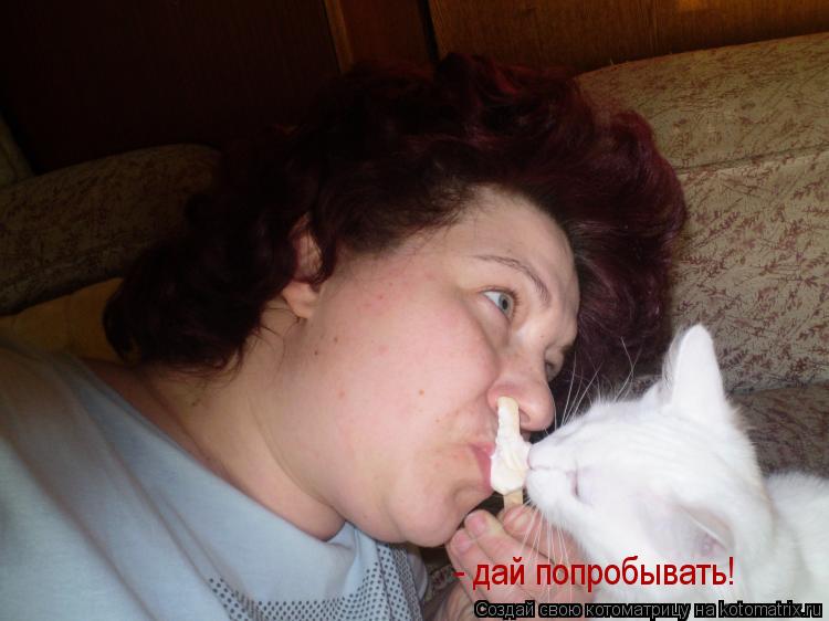 - дай попробывать!... Котоматрица: - дай попробывать!