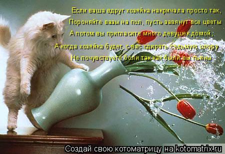 Если ваша вдруг хозяйка накричала просто так, Пороняйте вазы на пол, пусть завянут все цветы А потом ... Котоматрица: Если ваша вдруг хозяйка накричала просто так, Пороняйте вазы на пол, пусть завянут все цветы А потом вы пригласите много девушек домой, А ко