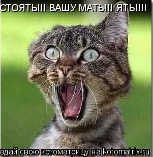 СТОЯТЬ!!! ВАШУ МАТЬ!!! ЯТЬ!!!!... Котоматрица: СТОЯТЬ!!! ВАШУ МАТЬ!!! ЯТЬ!!!!
