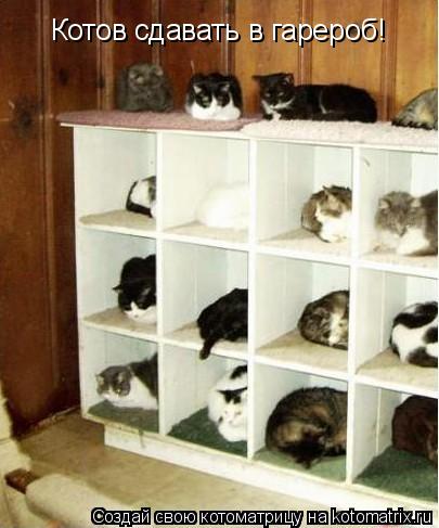 Котов сдавать в гарероб!... Котоматрица: Котов сдавать в гарероб!