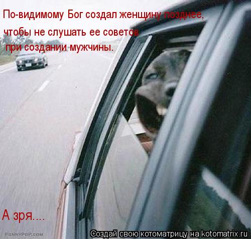 при создании мужчины. чтобы не слушать ее советов А зря.... По-видимому Бог создал женщину позднее,... Котоматрица: при создании мужчины. чтобы не слушать ее советов А зря.... По-видимому Бог создал женщину позднее,