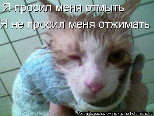 Я просил меня отмыть Я не просил меня отжимать... Котоматрица: Я просил меня отмыть Я не просил меня отжимать