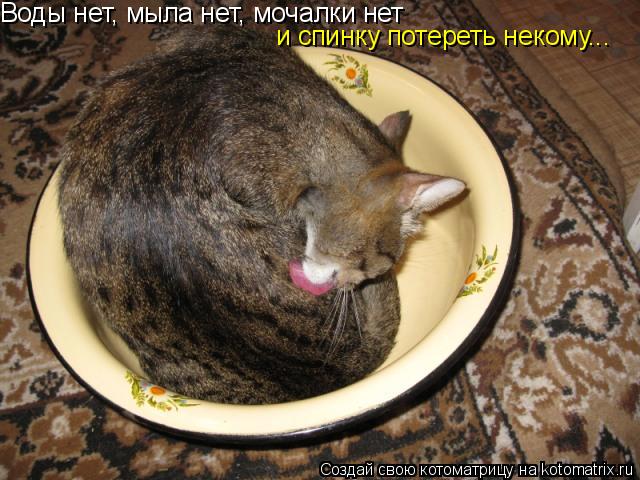 Воды нет, мыла нет, мочалки нет и спинку потереть некому...... Котоматрица: Воды нет, мыла нет, мочалки нет и спинку потереть некому...