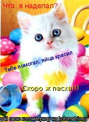 Что я наделал? Тебе помогал, яйца красил Скоро ж пасха!!!... Котоматрица: Что я наделал? Тебе помогал, яйца красил Скоро ж пасха!!!