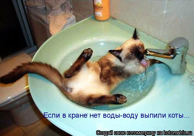 Котоматрица: Если в кране нет воды-воду выпили коты...