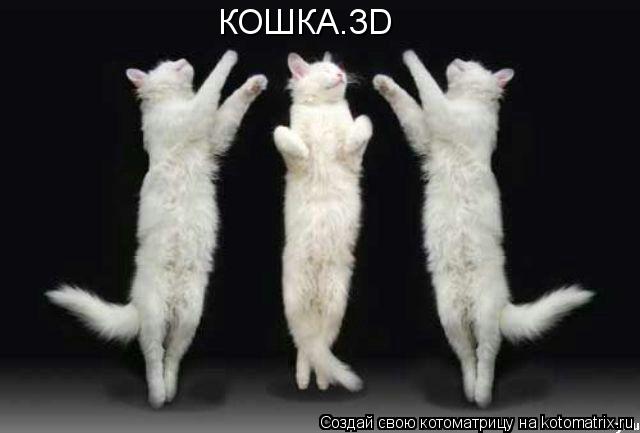 КОШКА.3D... Котоматрица: КОШКА.3D