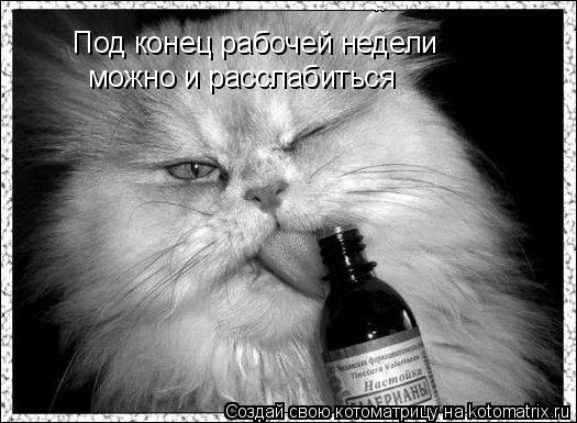 Под конец рабочей недели можно и расслабиться... Котоматрица: Под конец рабочей недели можно и расслабиться