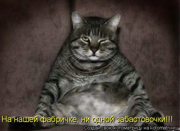 На нашей фабричке, ни одной забастовочки!!!... Котоматрица: На нашей фабричке, ни одной забастовочки!!!