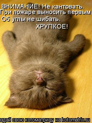 ВНИМАНИЕ! Не кантовать. При пожаре выносить первым. Об углы не шибать. ХРУПКОЕ!... Котоматрица: ВНИМАНИЕ! Не кантовать. При пожаре выносить первым. Об углы не шибать. ХРУПКОЕ!