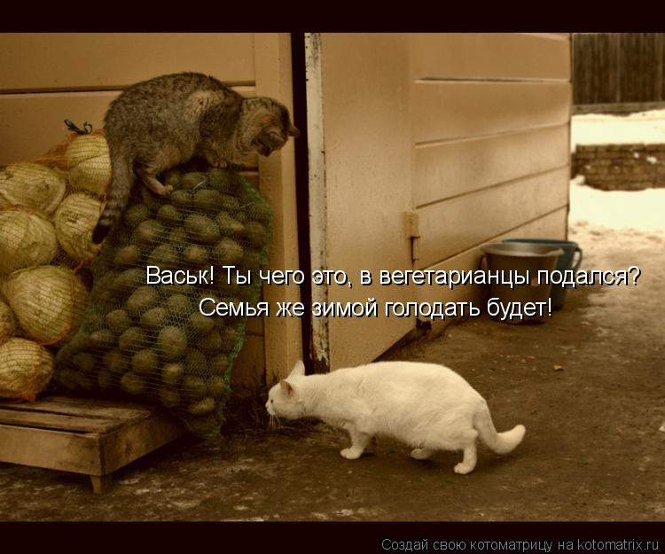 Васьк! Ты чего это, в вегетарианцы подался?Семья же зимой голодать будет! Васьк! Ты чего это, в вегет... Котоматрица: Васьк! Ты чего это, в вегетарианцы подался?Семья же зимой голодать будет! Васьк! Ты чего это, в вегетарианцы подался? Семья же зимой голодать