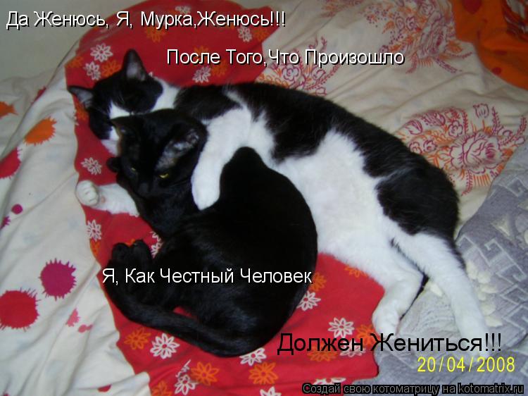 Да Женюсь, Я, Мурка,Женюсь!!! После Того,Что Произошло Я, Как Честный Человек Должен Жениться!!!... Котоматрица: Да Женюсь, Я, Мурка,Женюсь!!! После Того,Что Произошло Я, Как Честный Человек Должен Жениться!!!