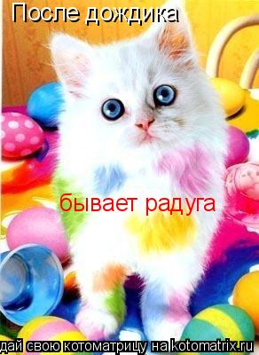 После дождика бывает радуга... Котоматрица: После дождика бывает радуга