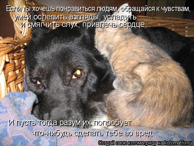 Если ты хочешь понравиться людям, обращайся к чувствам, умей ослепить взгляды, усладить и смягчить с... Котоматрица: Если ты хочешь понравиться людям, обращайся к чувствам, умей ослепить взгляды, усладить и смягчить слух, привлечь сердце. И пусть тогда раз